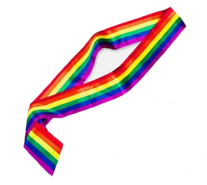 RAINBOW PRIDE RIBBON SASH LGBTQIA+ Parade March Festival Lesbian Gay Trans Party