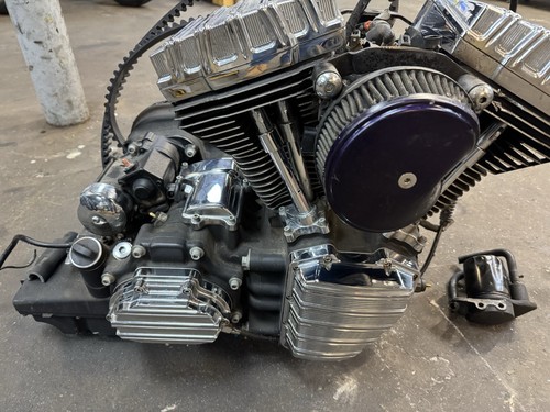 Harley Davidson 103” Drivetrain Motor Trans Primary 