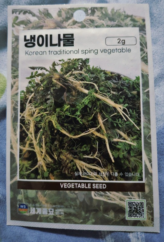Korean Shepherd's Purse (Capsella bursa-pastoris) Seeds Ji Cai Naengi 多粒大叶荠菜种子 