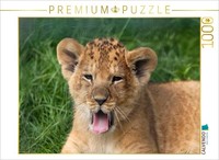 Calvendo Puzzle Lion Cub | 1000 Pieces, Finished Size 25.2 × 18.9 In (64 × 48 Cm