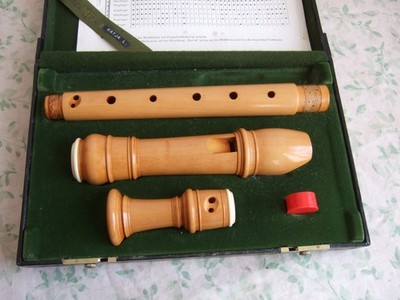 Moeck Rottenburgh 339 alto recorder, boxwood, curved windway, decorative...