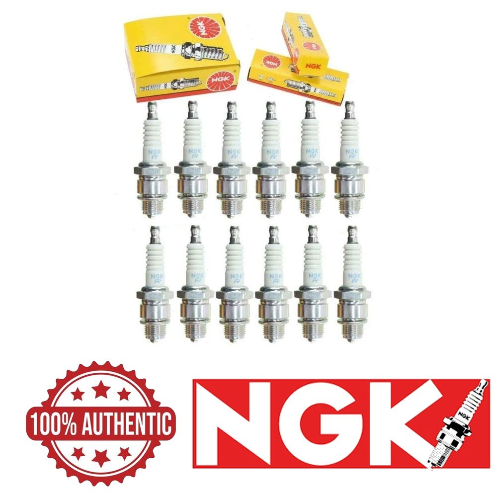 12 pc NGK 1134 BR8HS-10 Standard Spark Plugs for TR24-10 QL78C E8RC E3.32