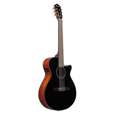 Ibanez AEG50N BK Nylon String - 4/4 Konzertgitarre