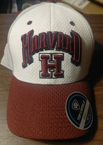 Harvard Flex Fit- Top Of The World Hat Embroidered M/L colorful nice