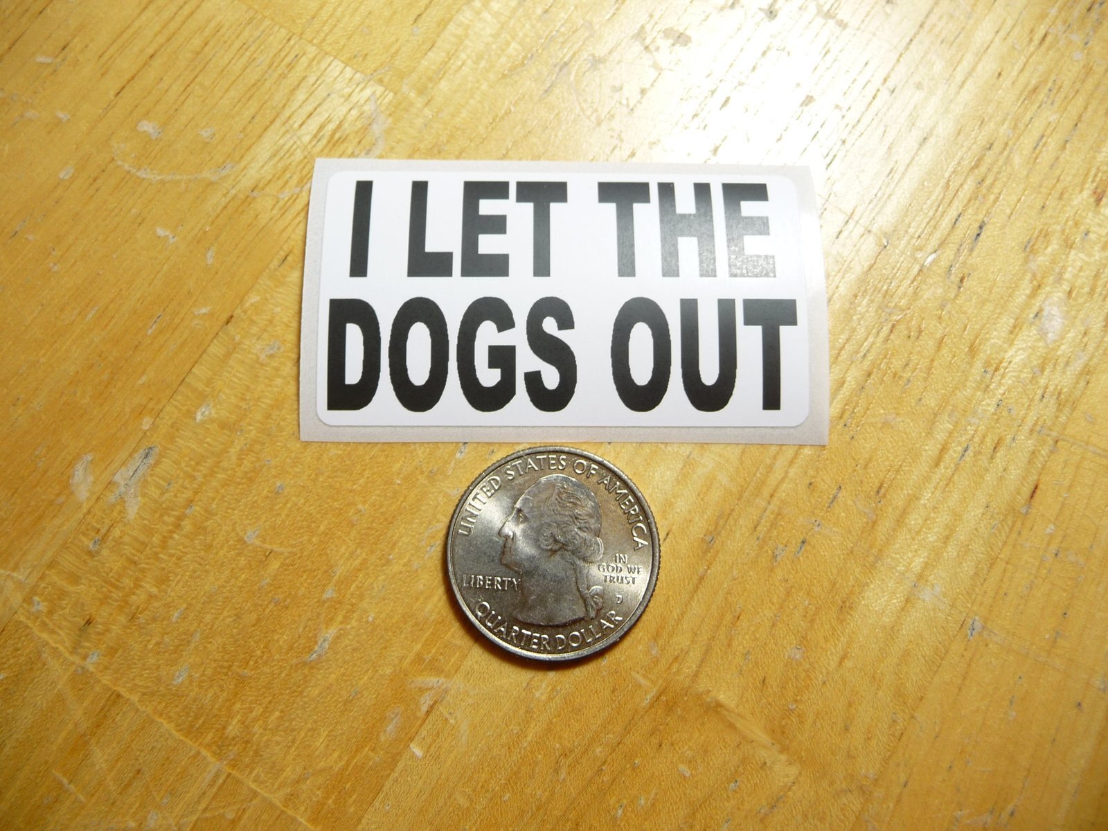 Bulk Pack of 50 I Let the Dogs Out Decals