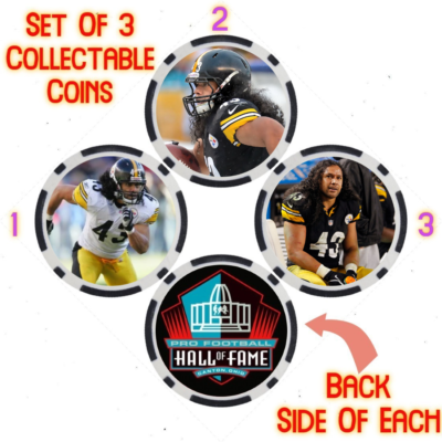 TROY POLAMALU PRO FOOTBALL HALL OF FAME COLLECTABLE COIN SET