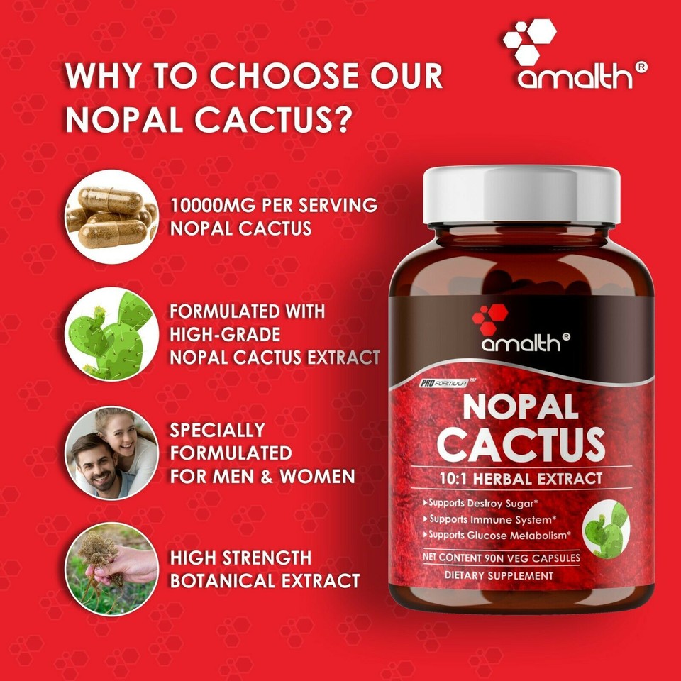 Nopal Cactus Pear Prickly Extract Powder Glucose Metabolism 10000mg 90