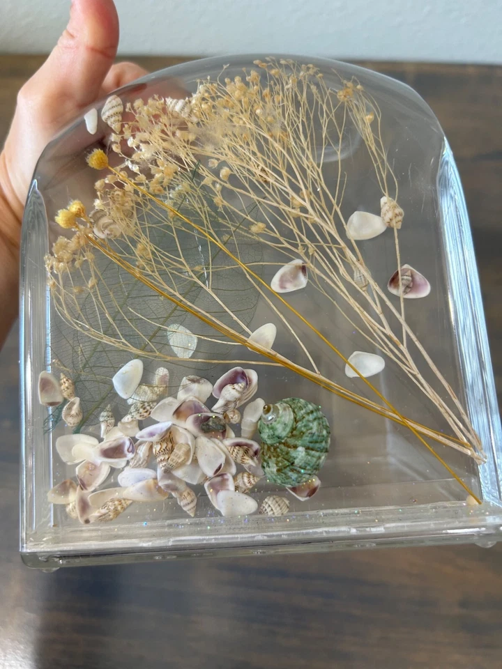 Caja de pañuelos vintage MCM Lucite acrílico flotante concha marina océano playa náutica VA Foto 3 de 4