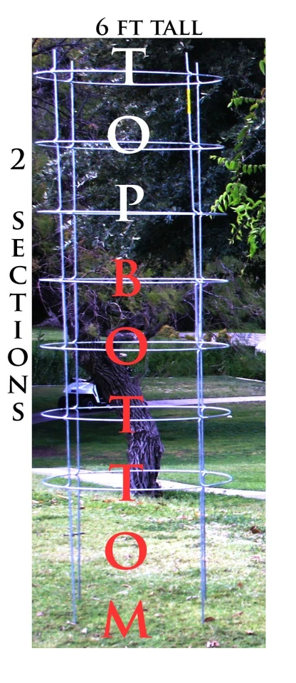 TEXAS TOMATO CAGE 6 Ft 24" Dia LG 6 Pk Cages for Plant Support Cages Gardening - Image 2 of 4