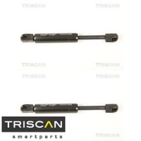 2X Gasfeder FüR Motorhaube Triscan 871028105 2 GasdäMpfer Motorraum
