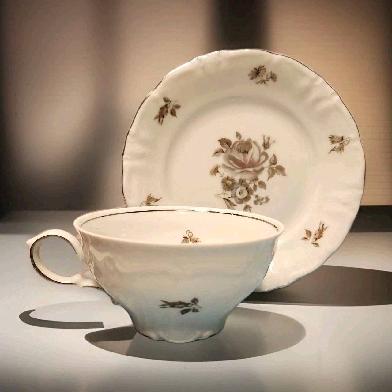 Winterling Schwarzenbach Tea Cup & Saucer Bone China Bavaria, Germany 1955 Mint