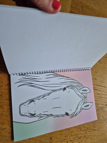 Miss Melody Create Your Horses Blaze Colouring book Horse activity book pony NEW - Imagen 12 de 13
