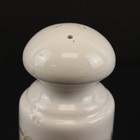 80s Vintage Avon SALT & PEPPER Shakers Country Kitchen — photo 6