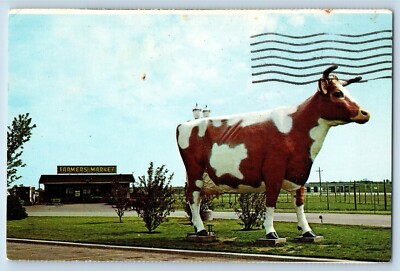 Janesville Wisconsin WI Postcard Oasis Cow Foreground Exterior View 1977 Vintage