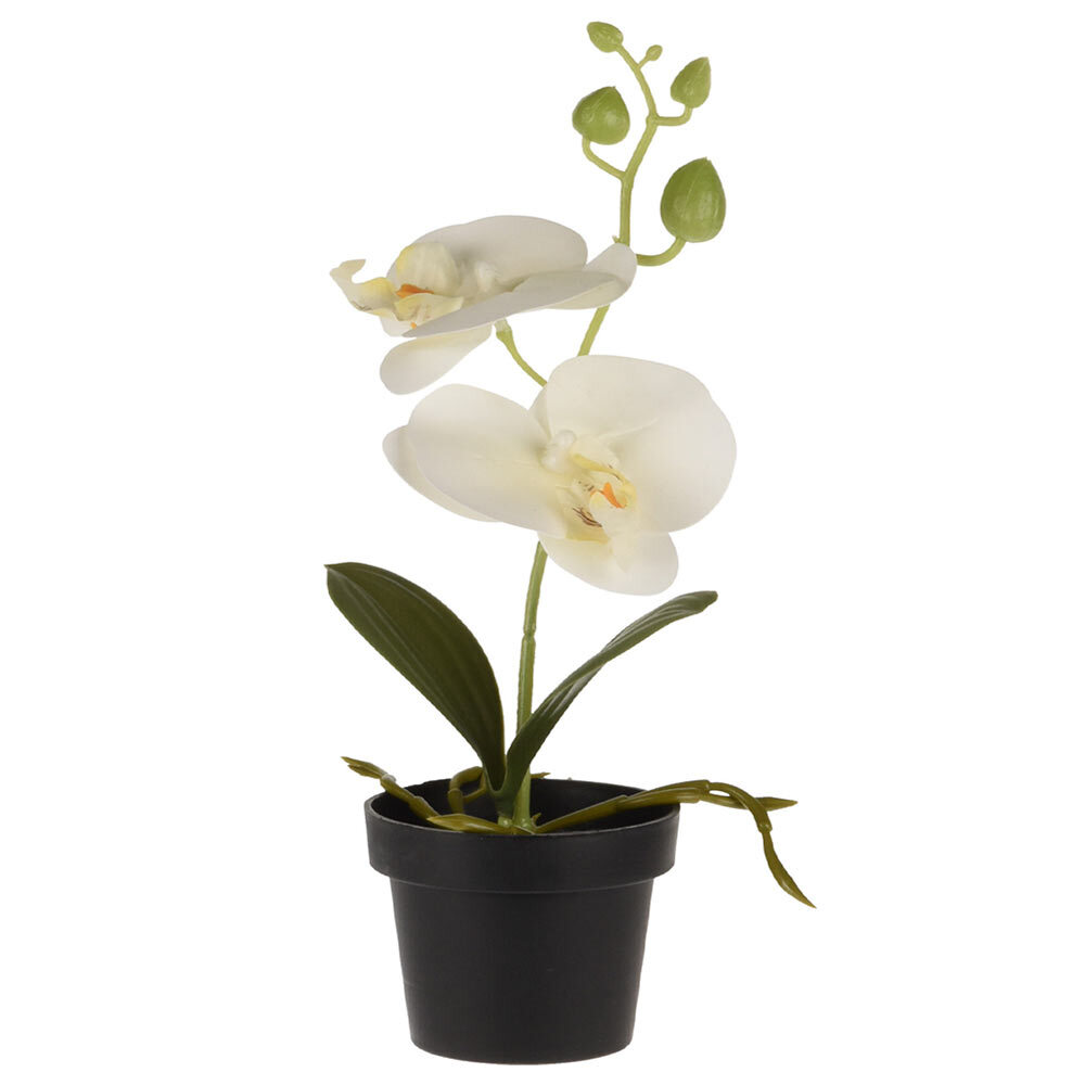 Knstliche Orchidee Im Topf Blau Mit Rosa  60cm Realistische Kunstblume  Fr Wohnzimmer & Bro Orchideen TEDi