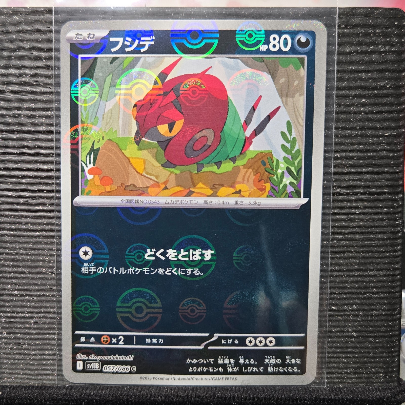 Venipede Pokeball Reverse Holo 57/86 Japanese NM Black Bolt Pokemon (US Seller)