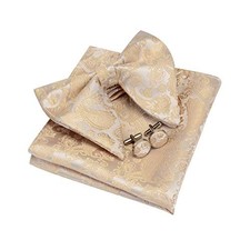Fashion New Paisley Adjustable Pre-tied Big Bow Tie and Pocket Champagne