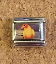Parrot Sun Conure Bird 9mm Italian Modular Link Charm for bracelet