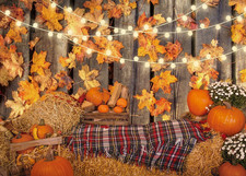 8X6Ft Fall Thanksgiving Photography Backdrop Autumn Maple Leaves Hay Pumpkins Ba