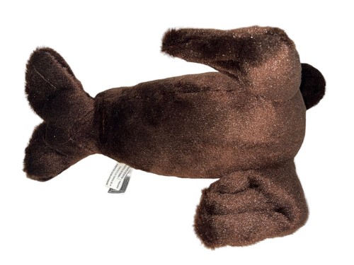 Destination Nation Brown Sea Lion Plush Stuffed Animal by Aurora 13" - Picture 8 of 10