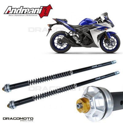 YAMAHA YZF-R3 2015-2020 cartridge ANDREANI 105/Y12E MISANO
