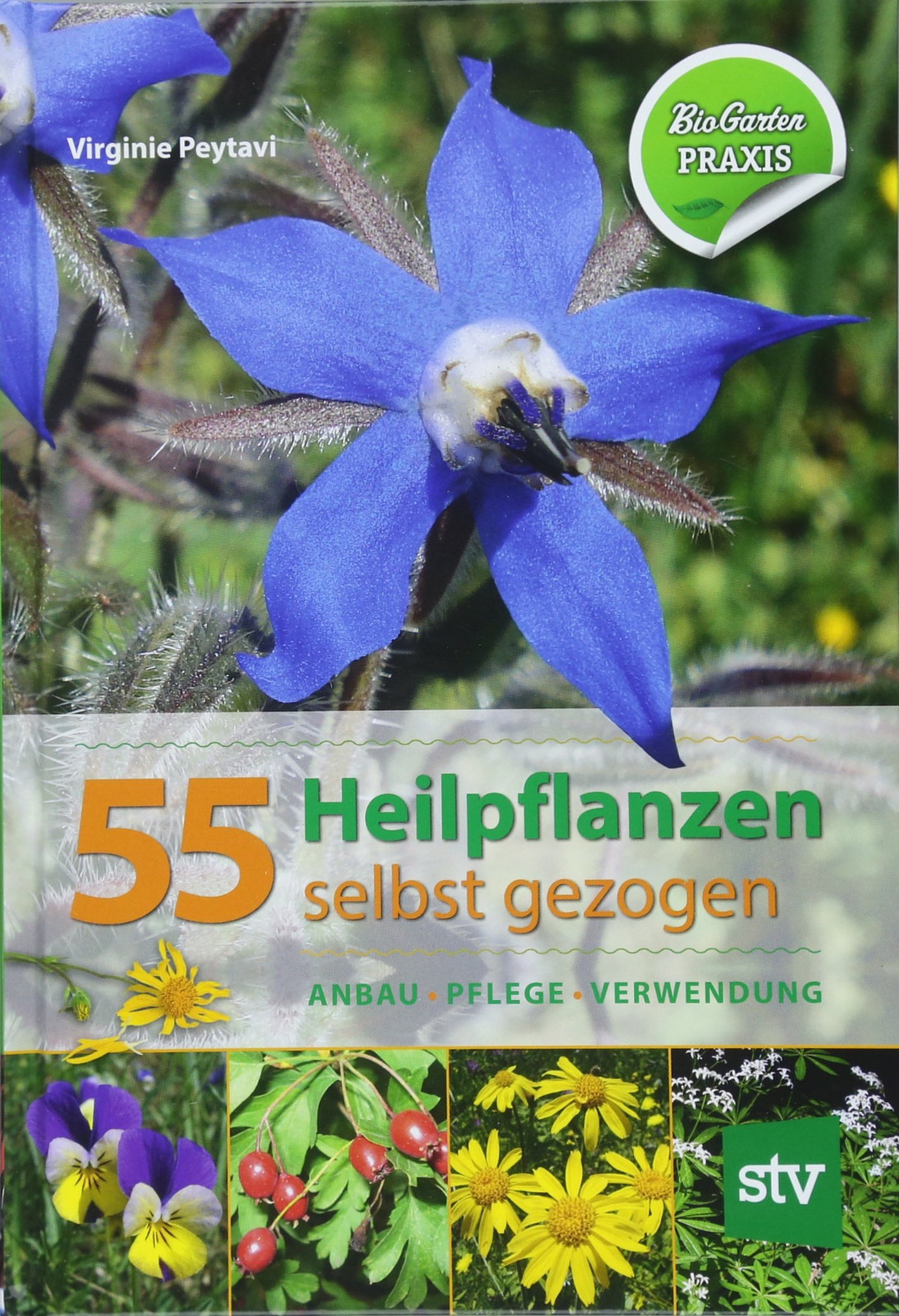 55 Heilpflanzen Selbst Gezogen Anbau Pflege Verwendung Bio-garten
