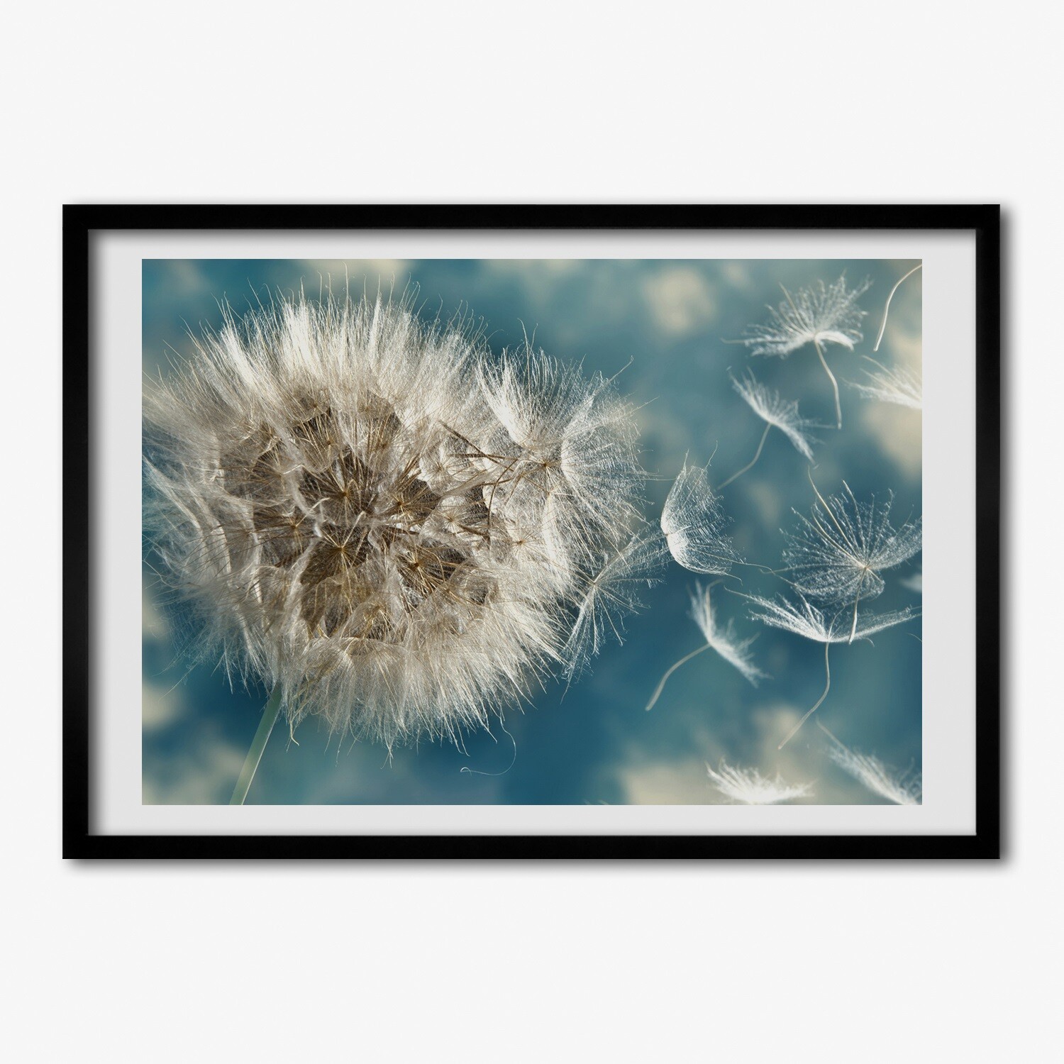 Pinturas de Pared con Marco de Madera MDF Negro 100x70 diente de león