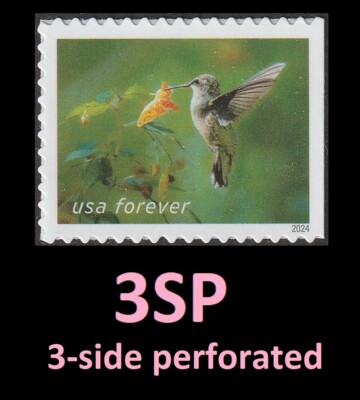 US 5846 Garden Delights Hummingbird Spotted Touch-me-not F single 3SP MNH 2024