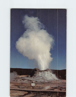 #ad Postcard Castle Geyser Yellowstone National Park Wyoming USA $3.49