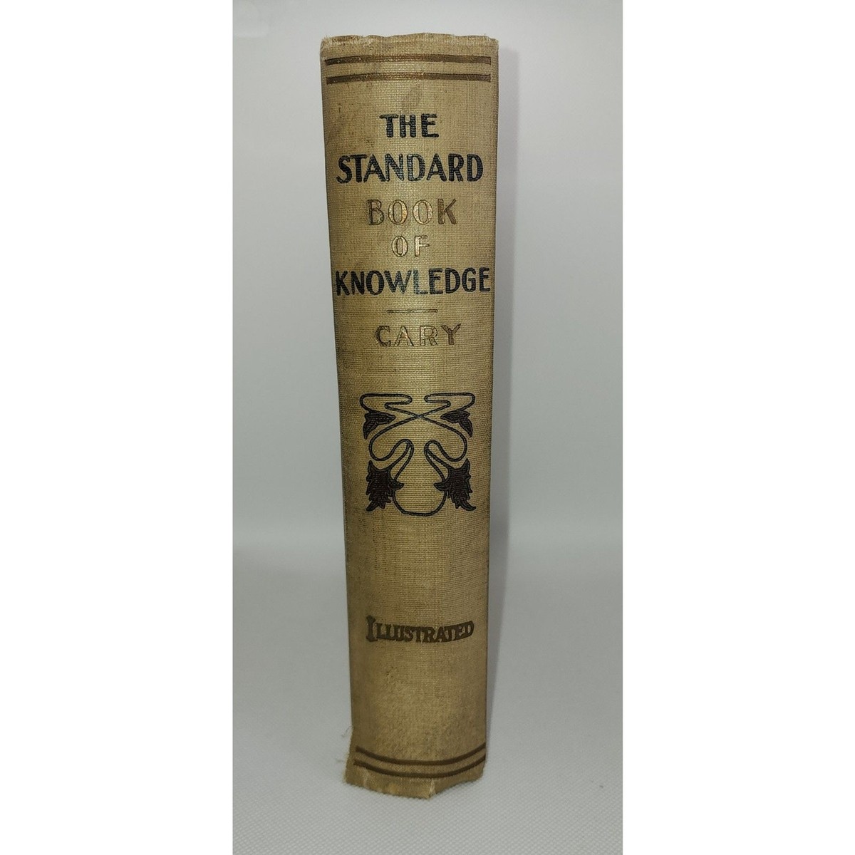 The Great Big Book of Knowledge [洋書] 71hVvLFKArL._UF350,350_QL50_.jpg