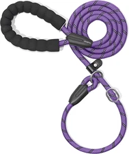 Durable Slip Lead Dog Leash with Padded Handle and Highly Reflective Threads, No