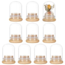 10pcs Glass Dome Cover tive Display Case Cloche Bell Jar Terrarium with Bamboo