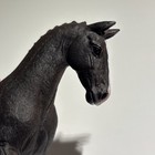 Foto 3 di 7