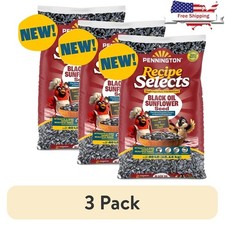 Black Oil Sunflower Seed Wild Birds High Protein Energy Fresh Food 365 Days New