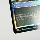 Picture 5 of 12