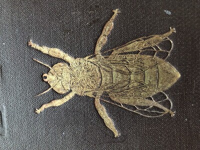 Vintage THE ABC AND XYZ OF Bee Culture: An Encyclopedia, A. I.