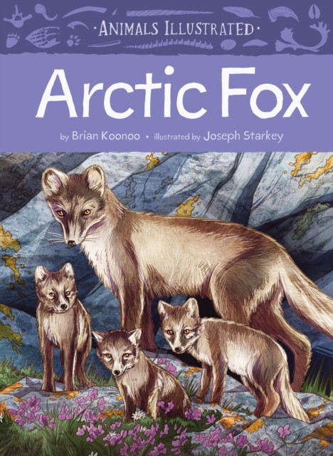 Animals Illustrated: Arctic Fox by Brian Koonoo (Hardback Book)