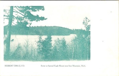 Spread Eagle Resort View near IRON MOUNTAIN, Michigan Postcard - Seibert Drug Co