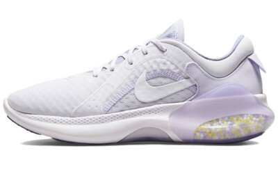 Nike Joyride Dual Run 2 'Iris Whisper' Women's DM7227-511