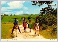 On The Way To Town Family Donkeys Jamaica West Indies Postcard Chrome