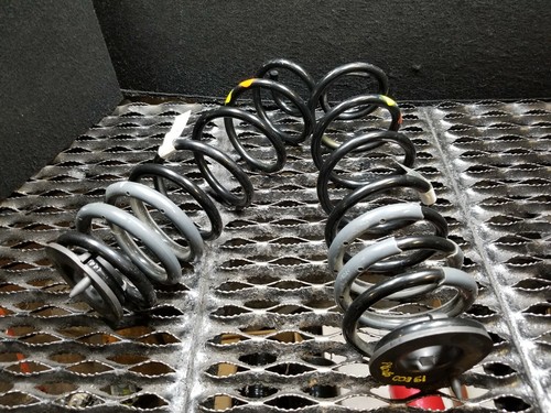 18-22 Ford Ecosport Rear Coil Spring Pair OEM 532 Miles | eBay