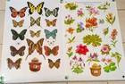 Vintage 1980s Smokey Bear US Forest Service Educational Poster Butterfly Flowers — photo 8
