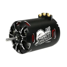 Integy Z-ZONE D3 spec brushless motor 8.5T Z-ZONE-D3-08