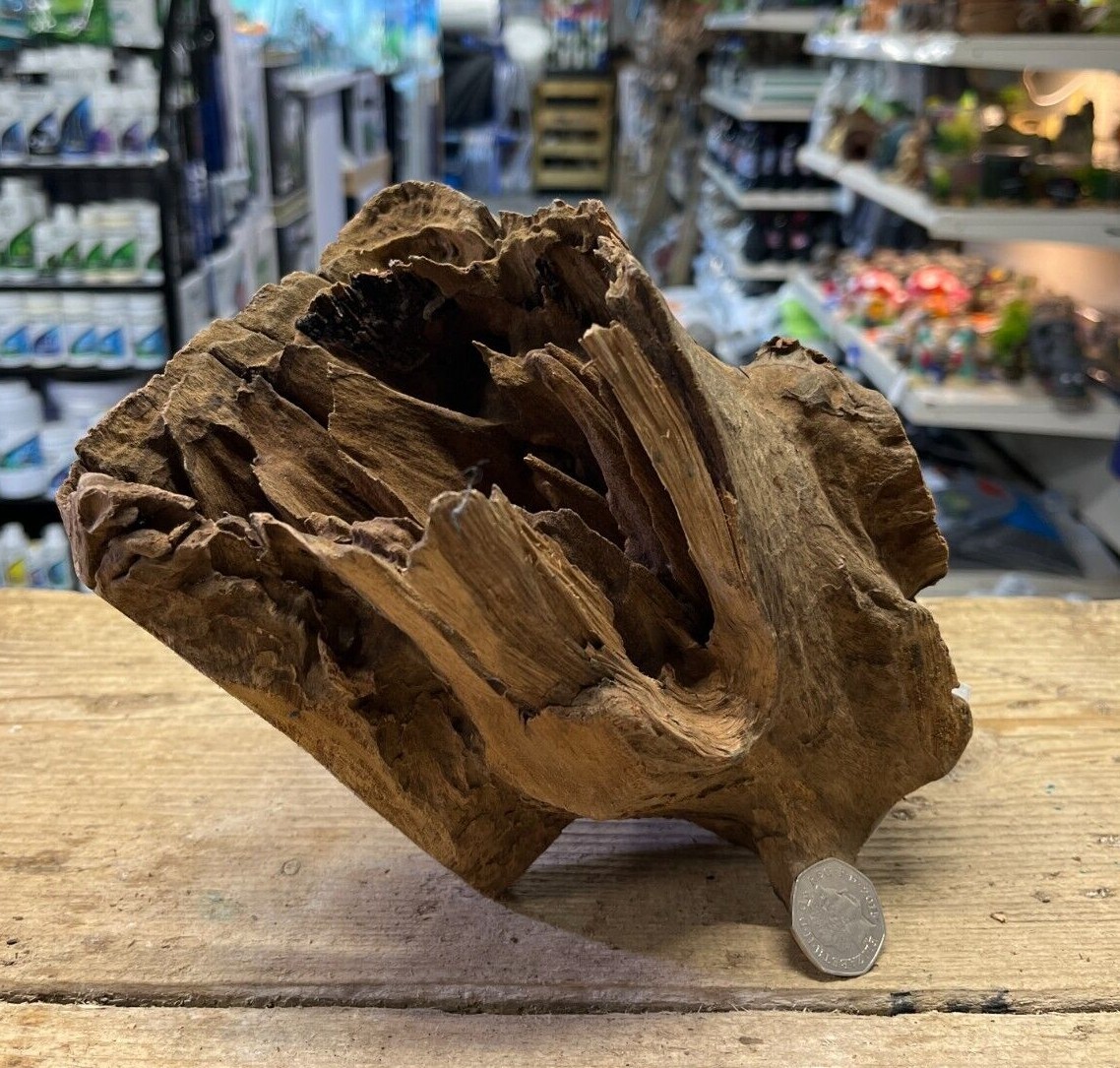 Large Corbo Root Aquarium Bogwood Vivarium Root Driftwood Catfish Cave