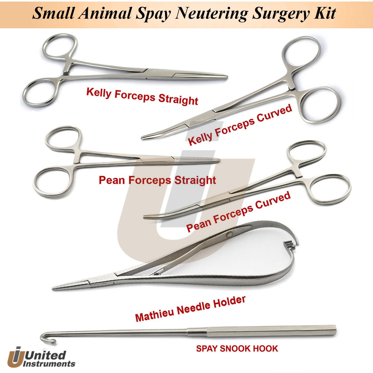 Veterinary Surgeryスモールアニマルサージェリー Amazon.co.jp: Veterinary Surgery: Small Animal Expert