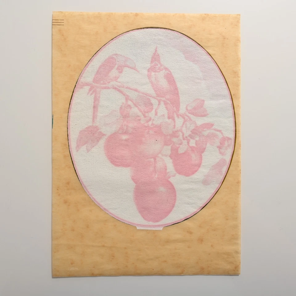 Transferencia de calor vintage de los años 70 | Pájaros en manzano | Gráfico de camiseta para planchar NOS Foto 3 de 4