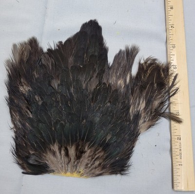 Lot 419,  Natural Hen Back Saddle Soft Hackle Feathers for Fly Tying