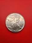 1990 American Silver Eagle 1 Ounce Brilliant Uncirculated