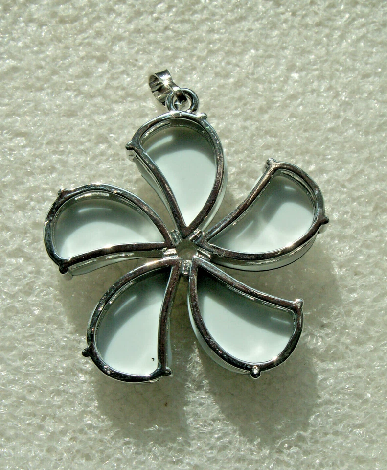 ABALONE MUSCHEL  Anhänger    EINZIGARTIG/NEU! - Bild 2 von 4