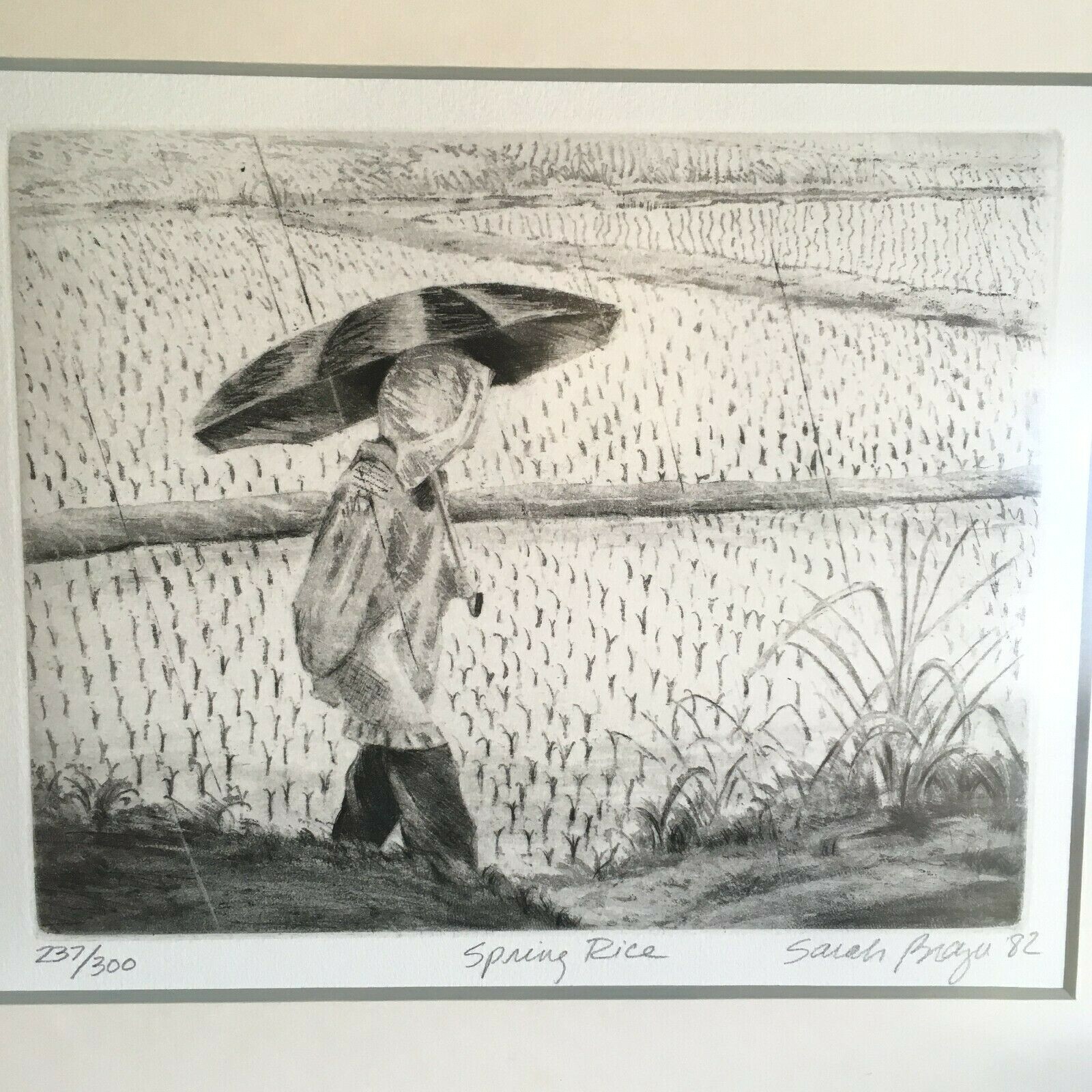 Picture 4 of 8